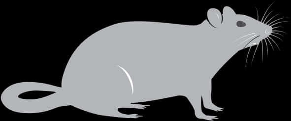 Grey Rat Silhouette