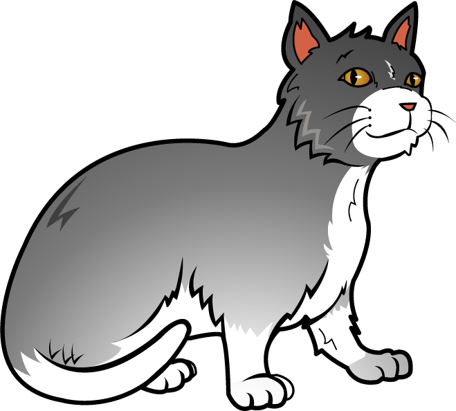 Greyand White Cartoon Cat