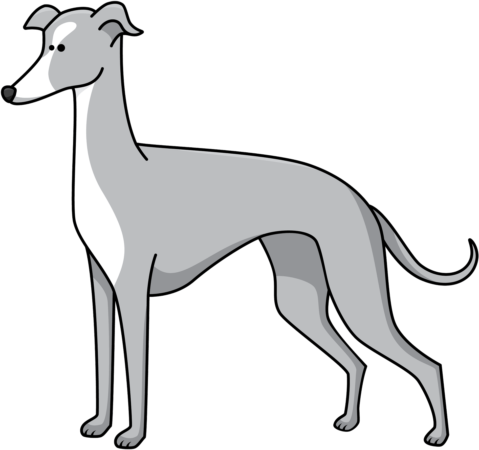 Greyhound Cartoon Illustration