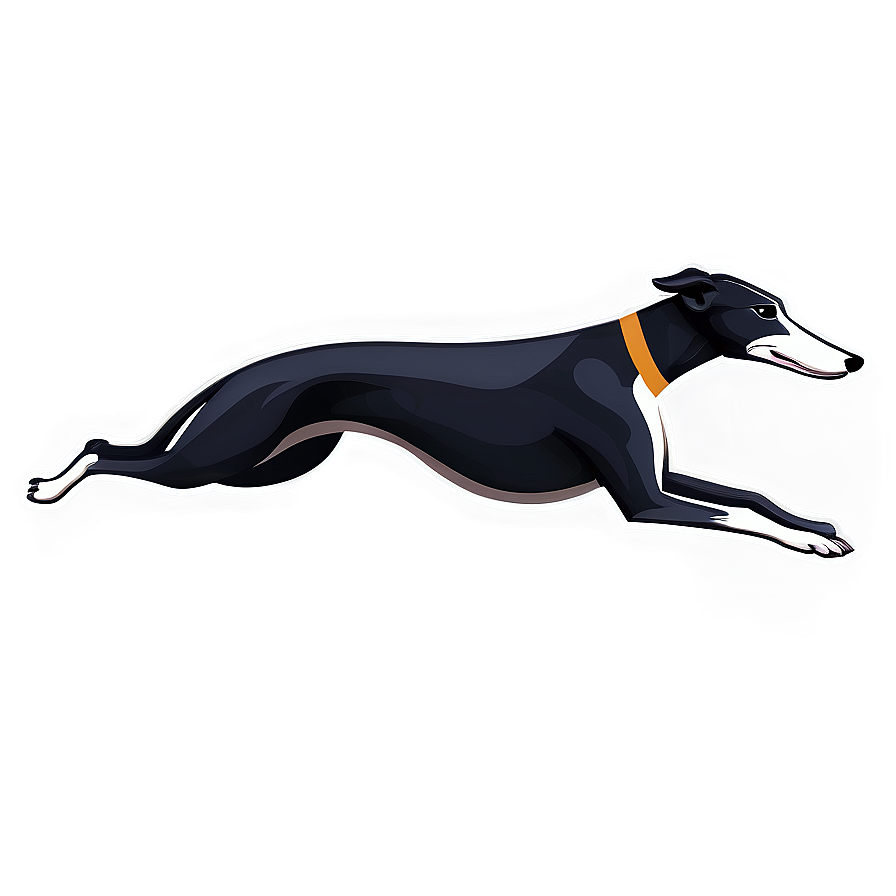 Greyhound Flat Design Png 06242024