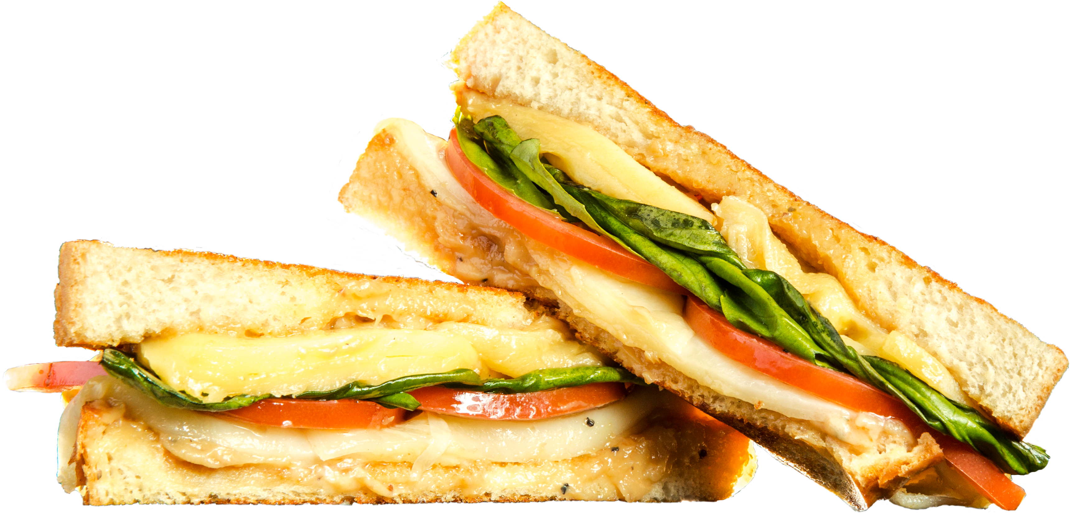 Grilled Vegetable Cheese Sandwich.png