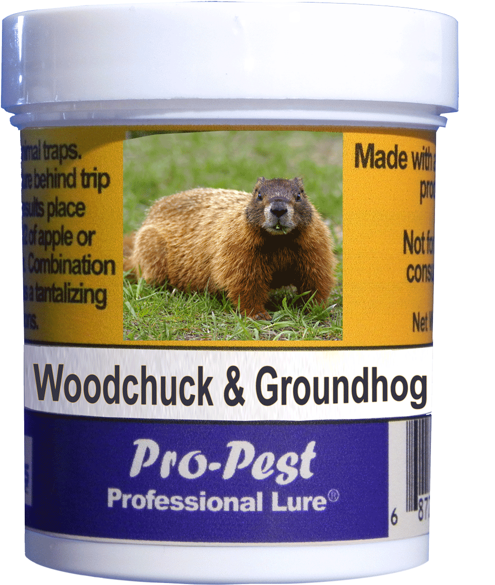 Groundhog Behind Pro Pest Lure Product