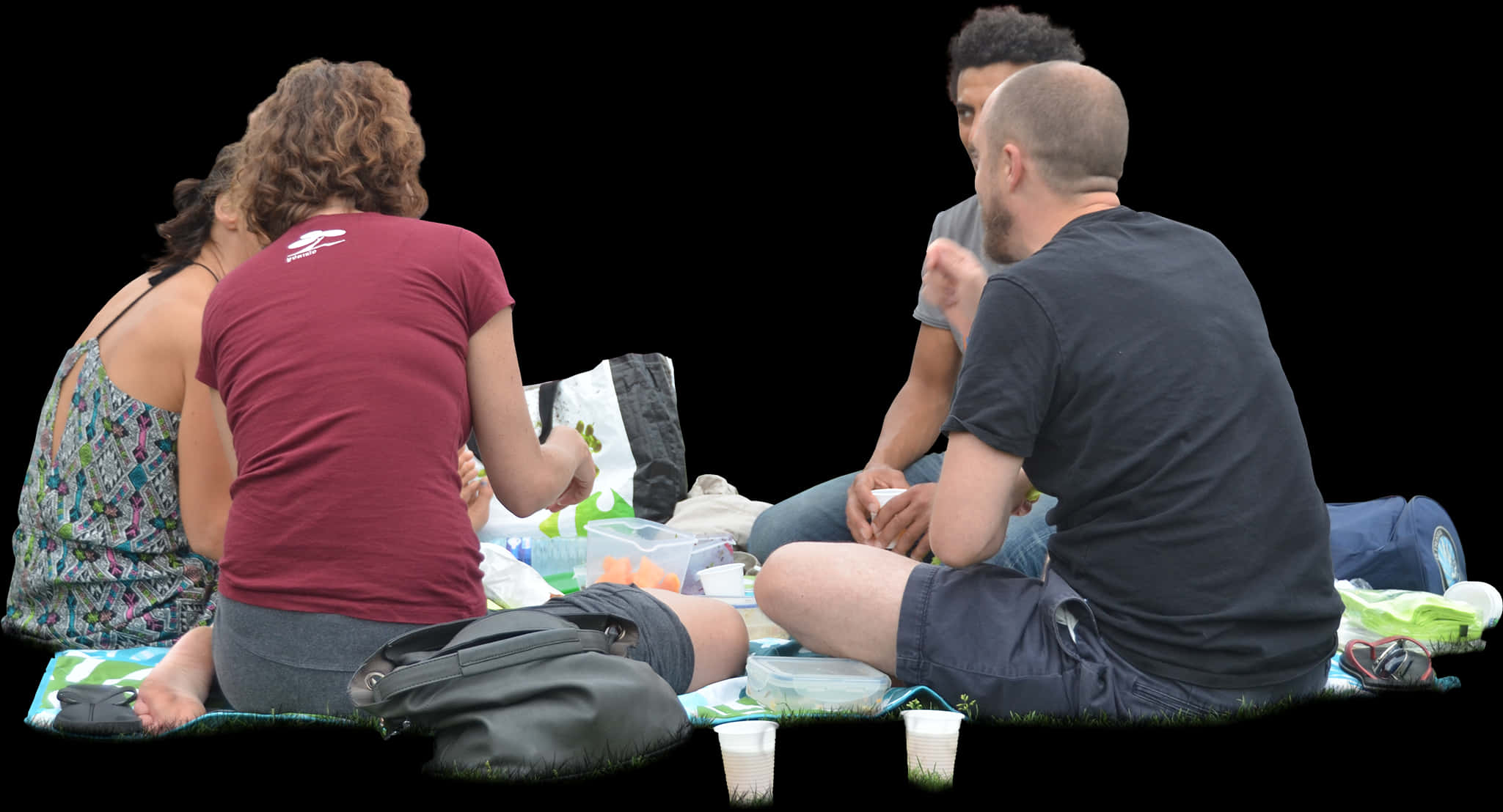 Group_ Picnic_ Gathering_ Isolated_ Background