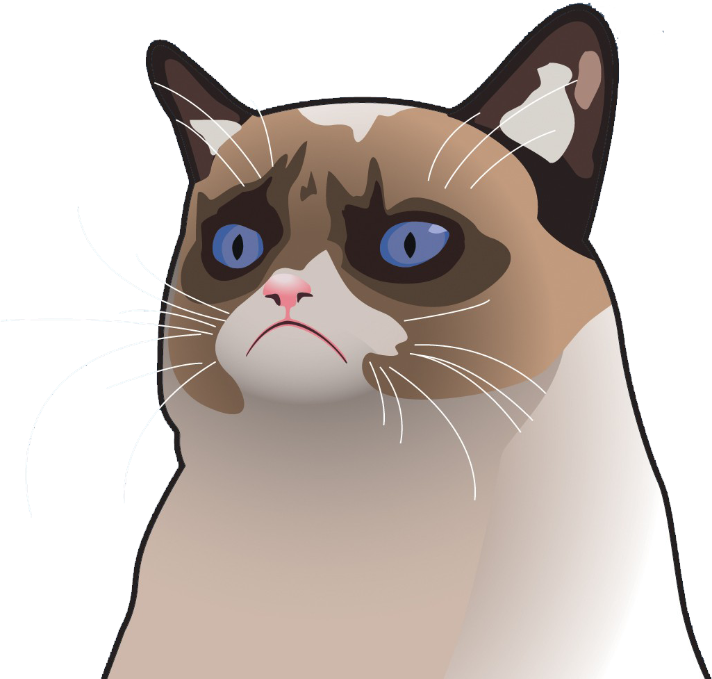 Grumpy_ Cat_ Cartoon_ Expression.png