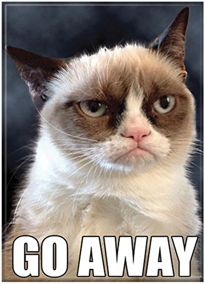 Grumpy Cat Go Away Meme