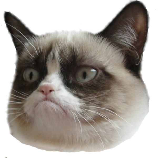 Grumpy Cat Head Transparent Background.png