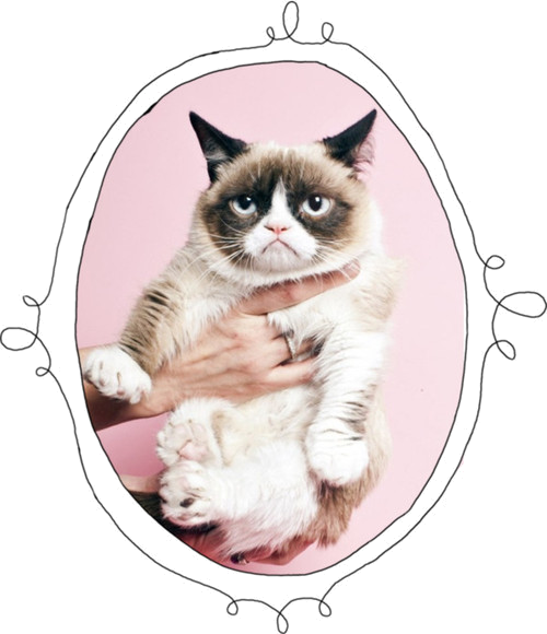 Grumpy Cat Portrait