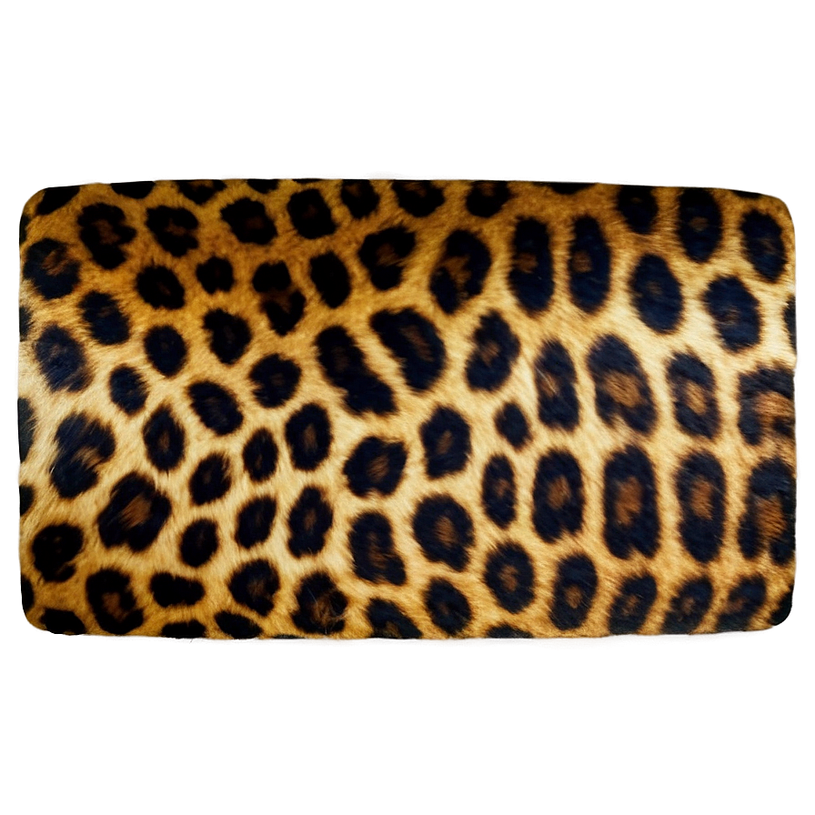 Grunge Leopard Print Png Byt