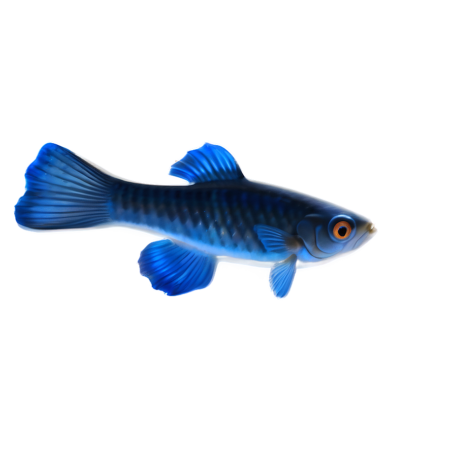 Guppy Fish Shadow Png 58 Image