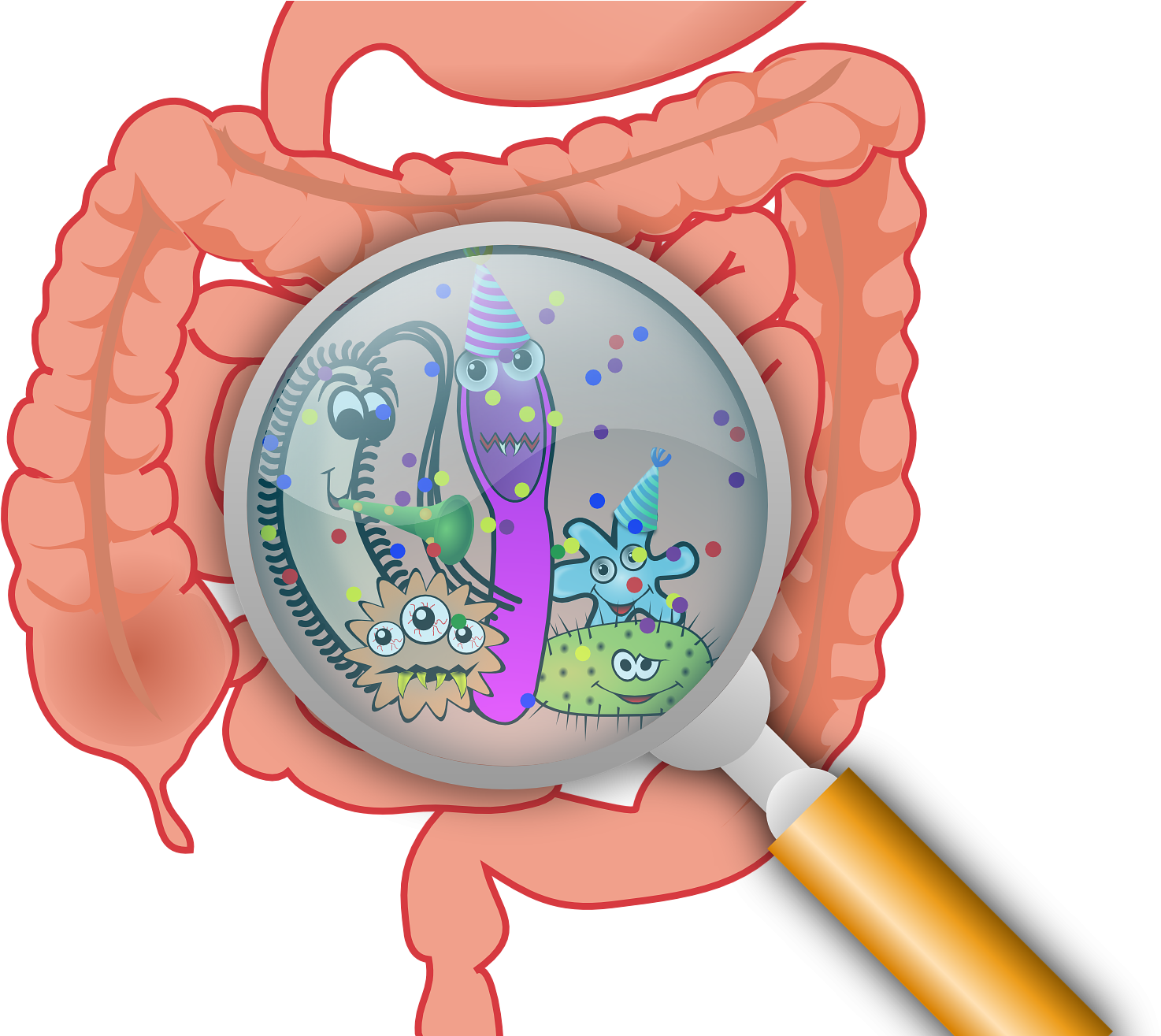 Gut Bacteria Cartoon Magnified