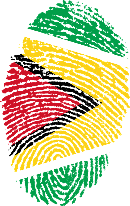 Guyana Flag Fingerprint Art