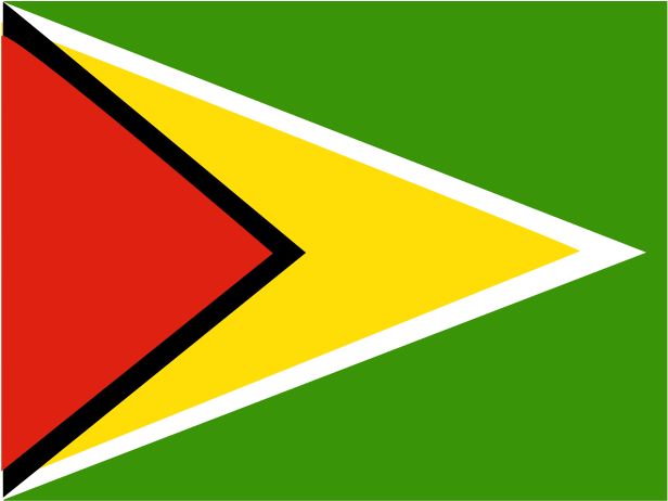 Guyana National Flag