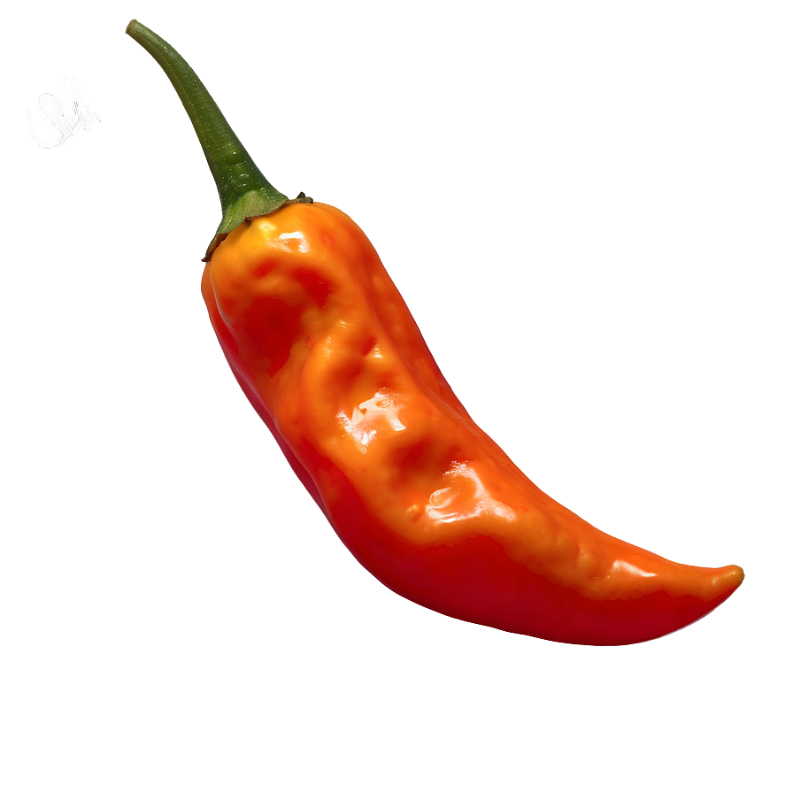 Habanero Chili Pepper Picture Png 06122024