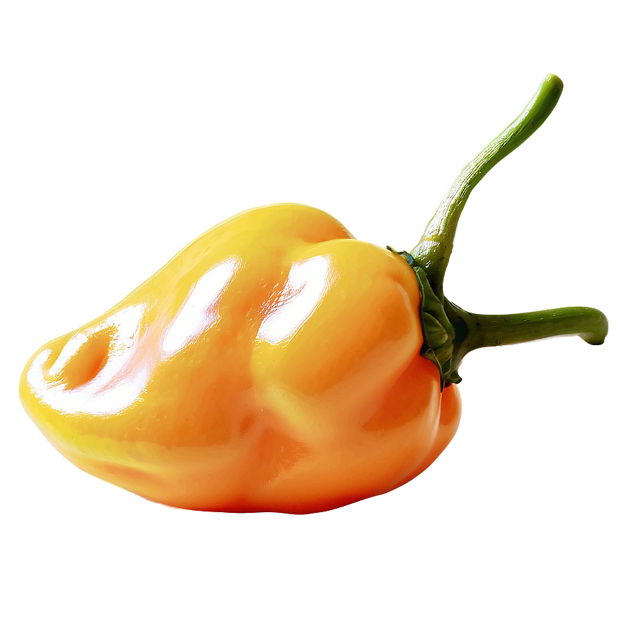 Habanero Chili Pepper Picture Png 06122024