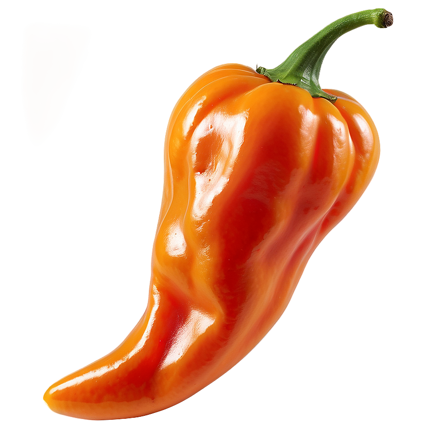 Habanero Pepper Harvest Png Sjh95