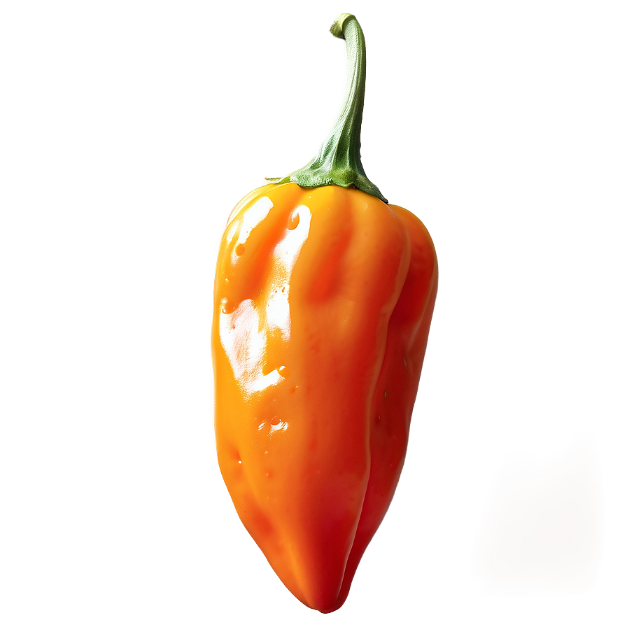 Habanero Pepper Png 92