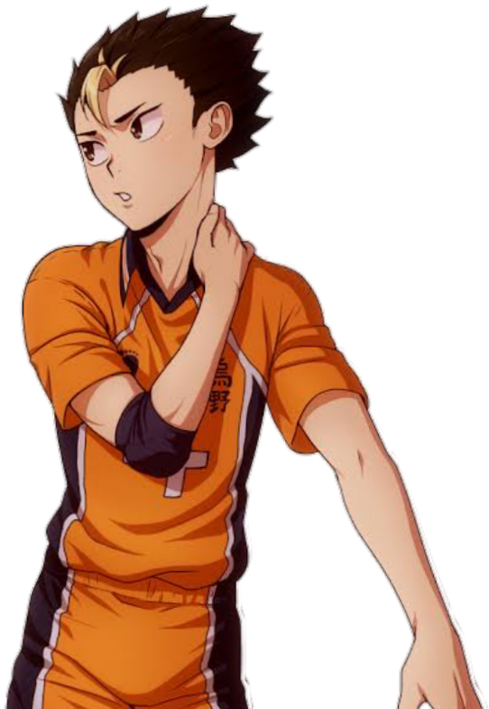 Haikyuu Animated Volleyball Player