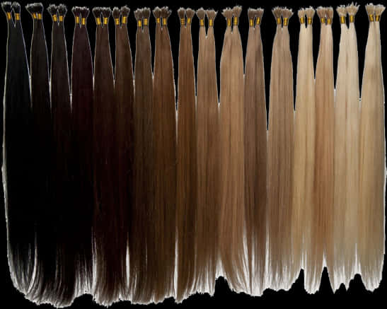 Hair Extensions Color Chart