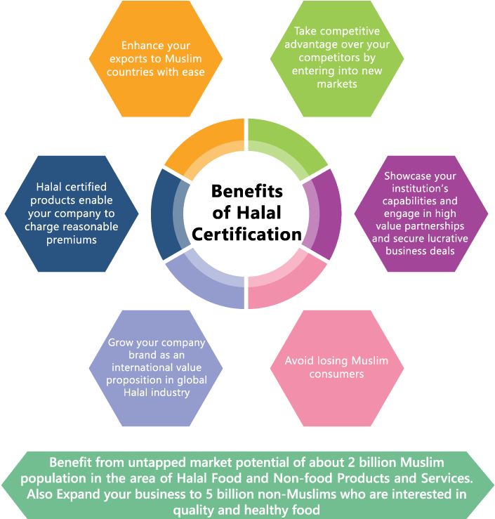 Halal Certification Benefits Infographic