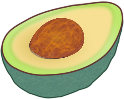 Half Avocadowith Pit