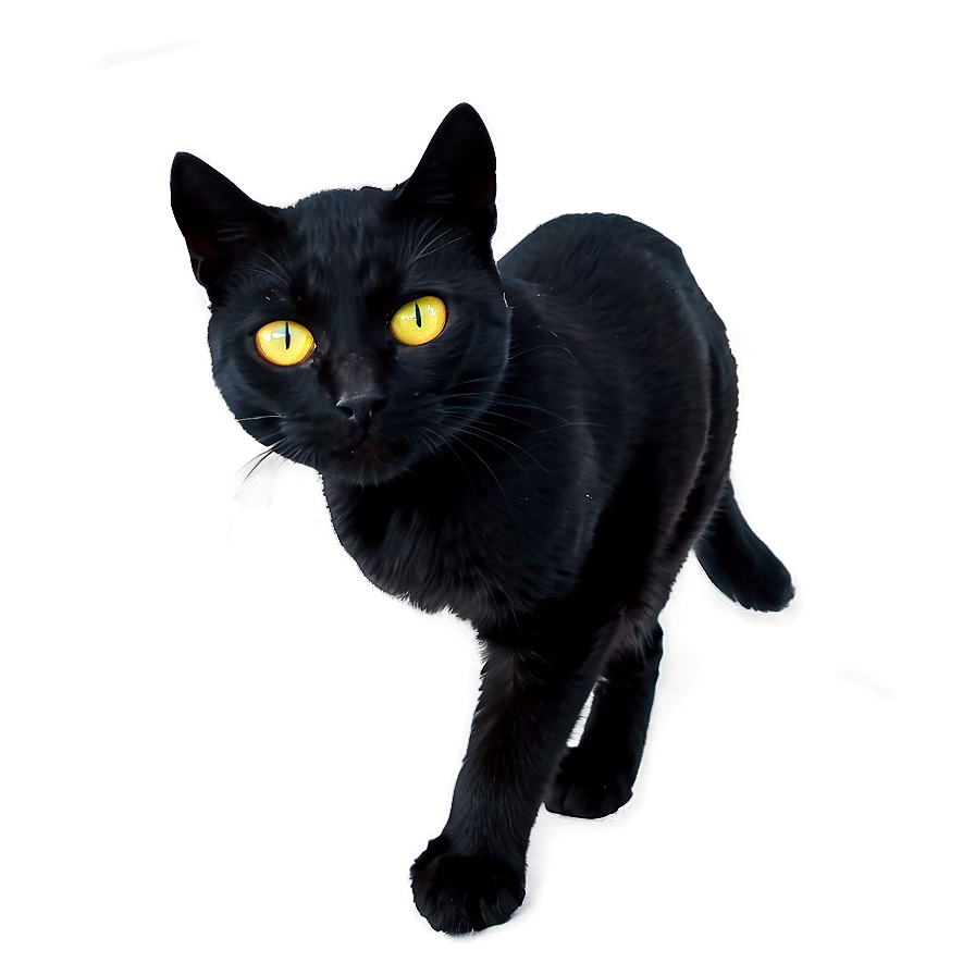 Halloween Black Cat Png 04292024