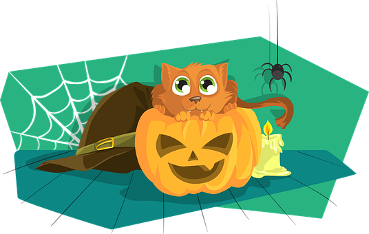 Halloween Catin Pumpkin Illustration