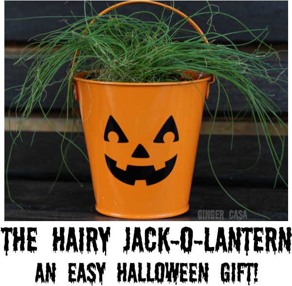 Halloween Plant Pot Jack O Lantern