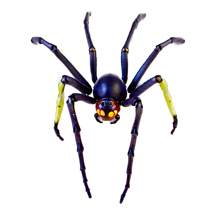 Halloween Spider Png Ieo16