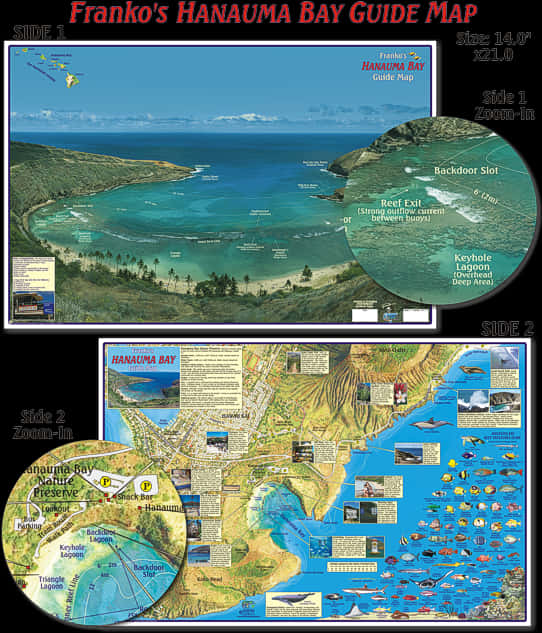 Hanauma Bay Guide Map