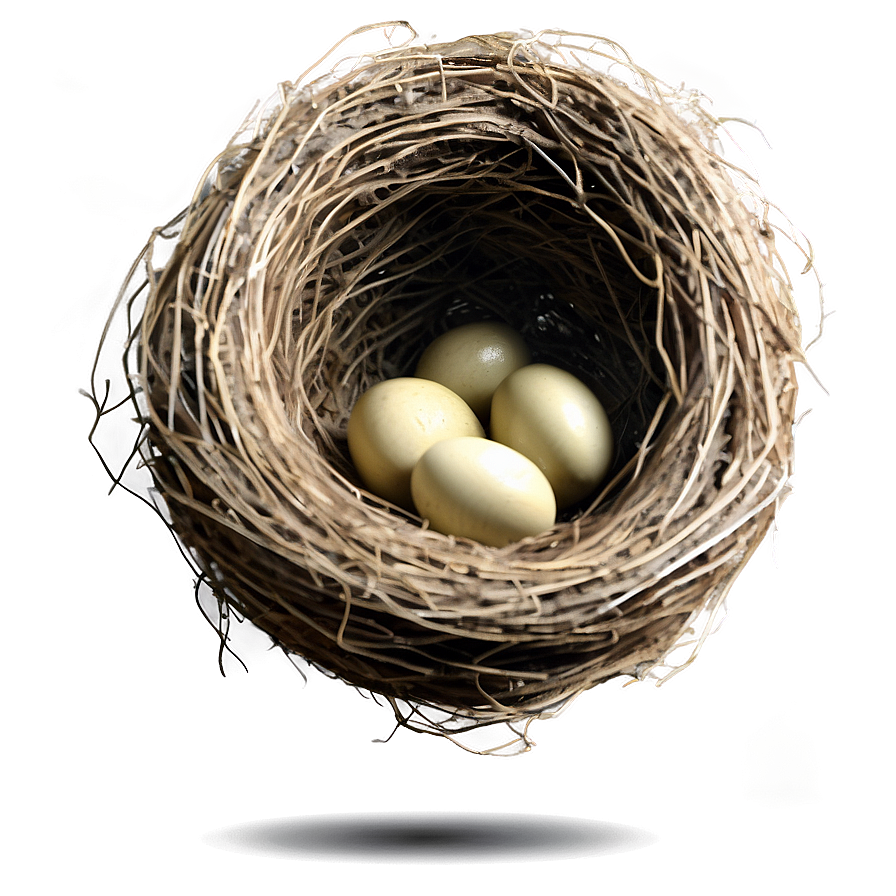 Hand Drawn Bird Nest Png Bcs18