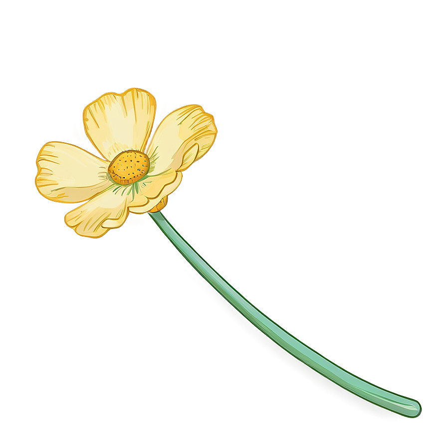 Hand-drawn Buttercup Png 06252024