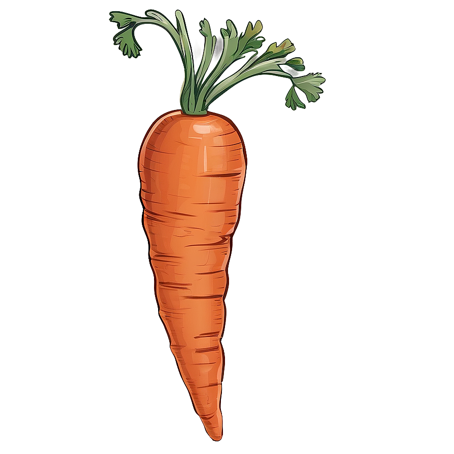 Hand Drawn Carrot Png Wgw