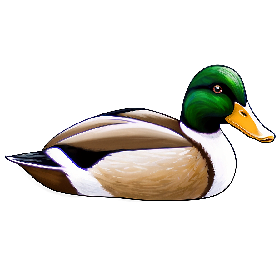 Hand Drawn Duck Sketch Png 9