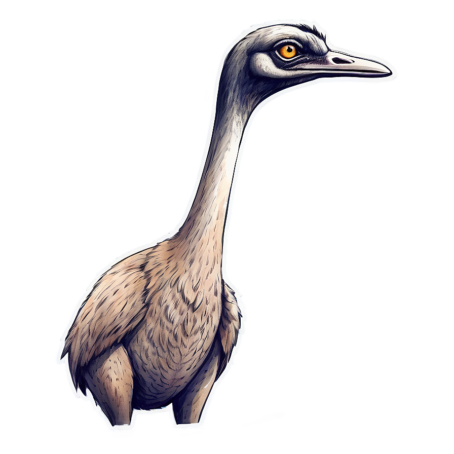 Hand Drawn Emu Png 40