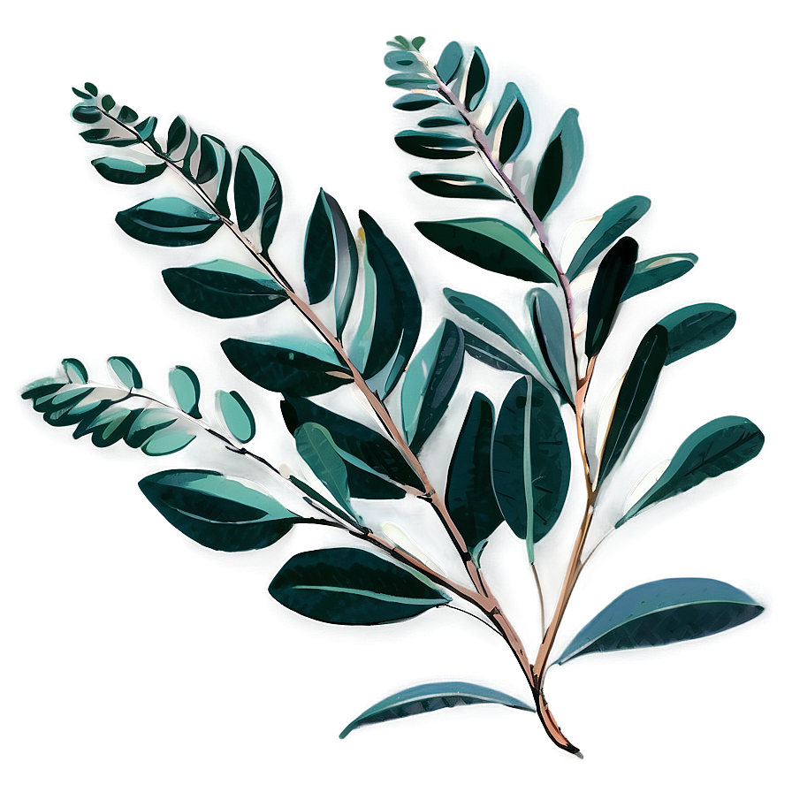 Hand Drawn Eucalyptus Png Vry34