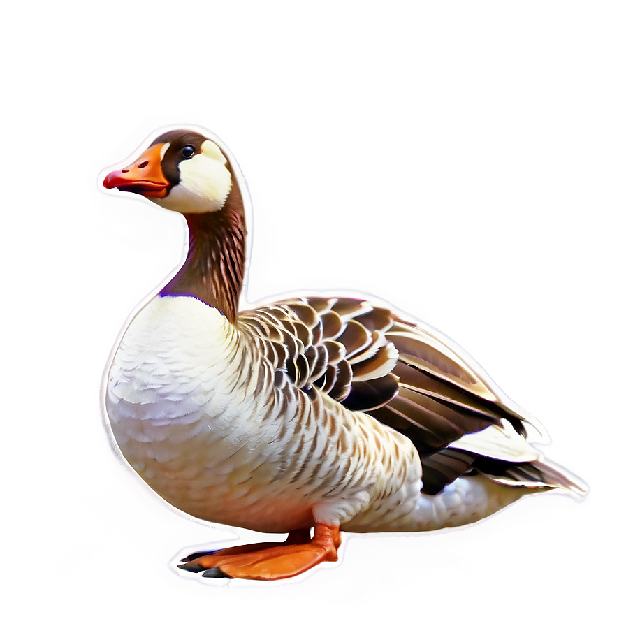 Hand Drawn Goose Sketch Png 87