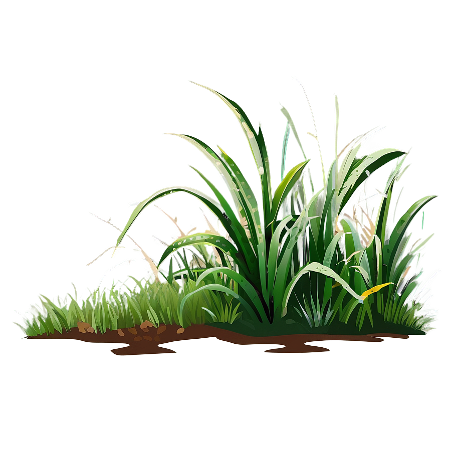 Hand Drawn Grass Clipart Png 06272024