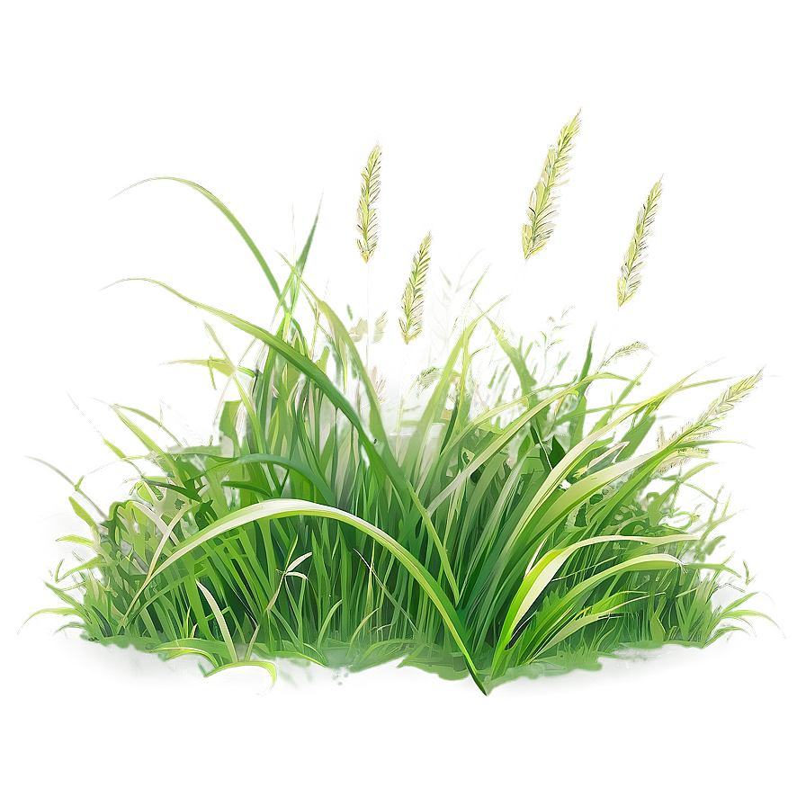 Hand Drawn Grass Clipart Png 62