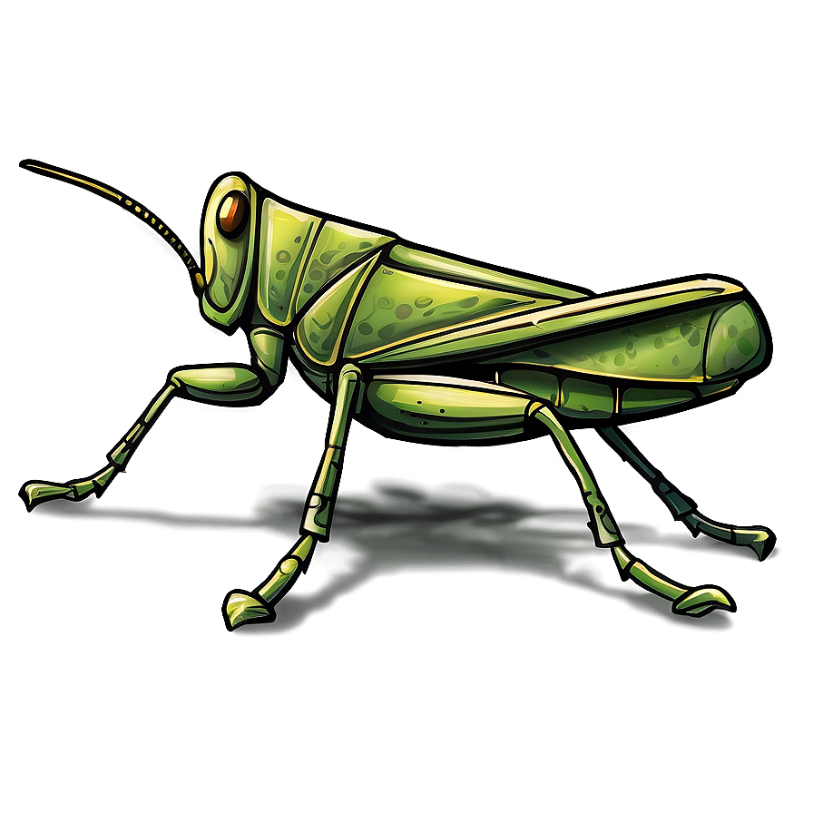 Hand Drawn Grasshopper Png 06122024