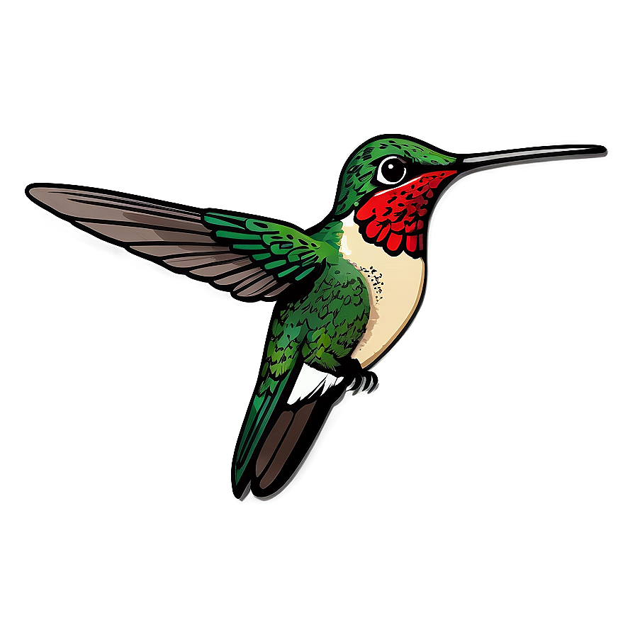 Hand-drawn Hummingbird Png Hum98