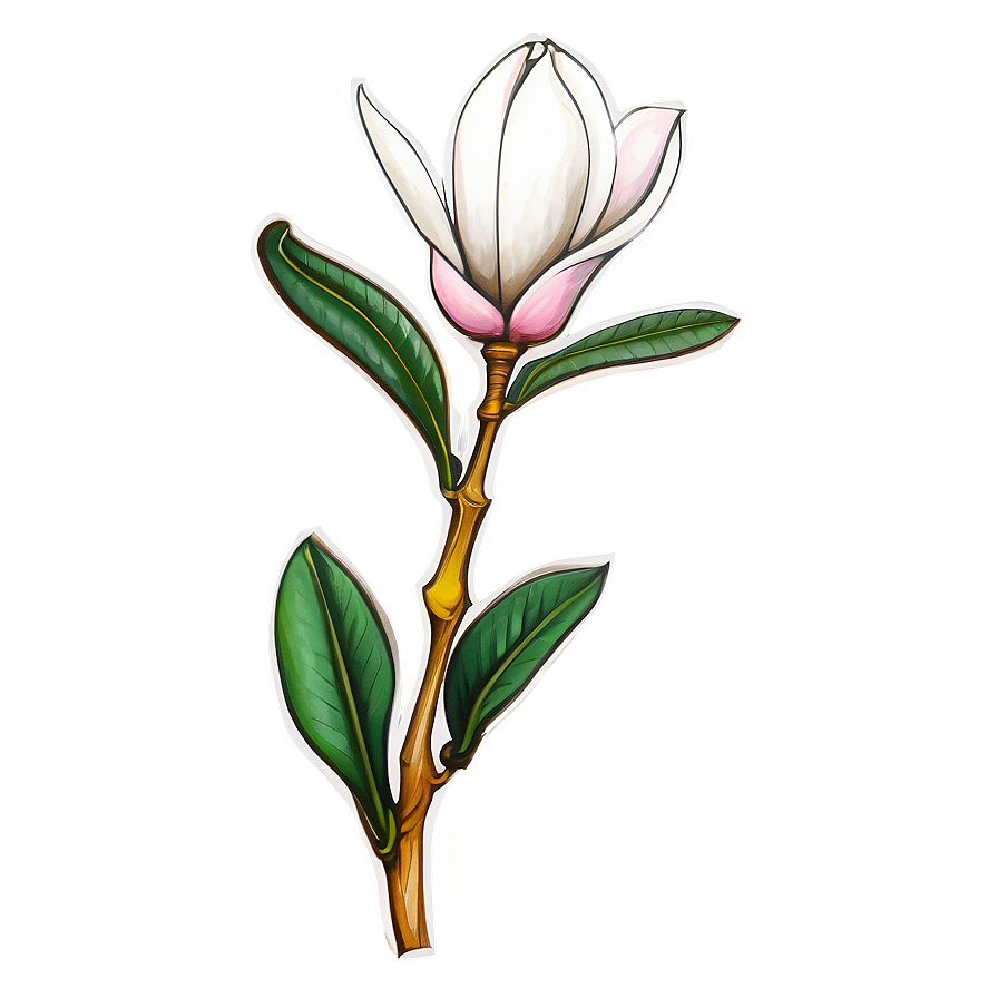 Hand-drawn Magnolia Sketch Png Ukg86