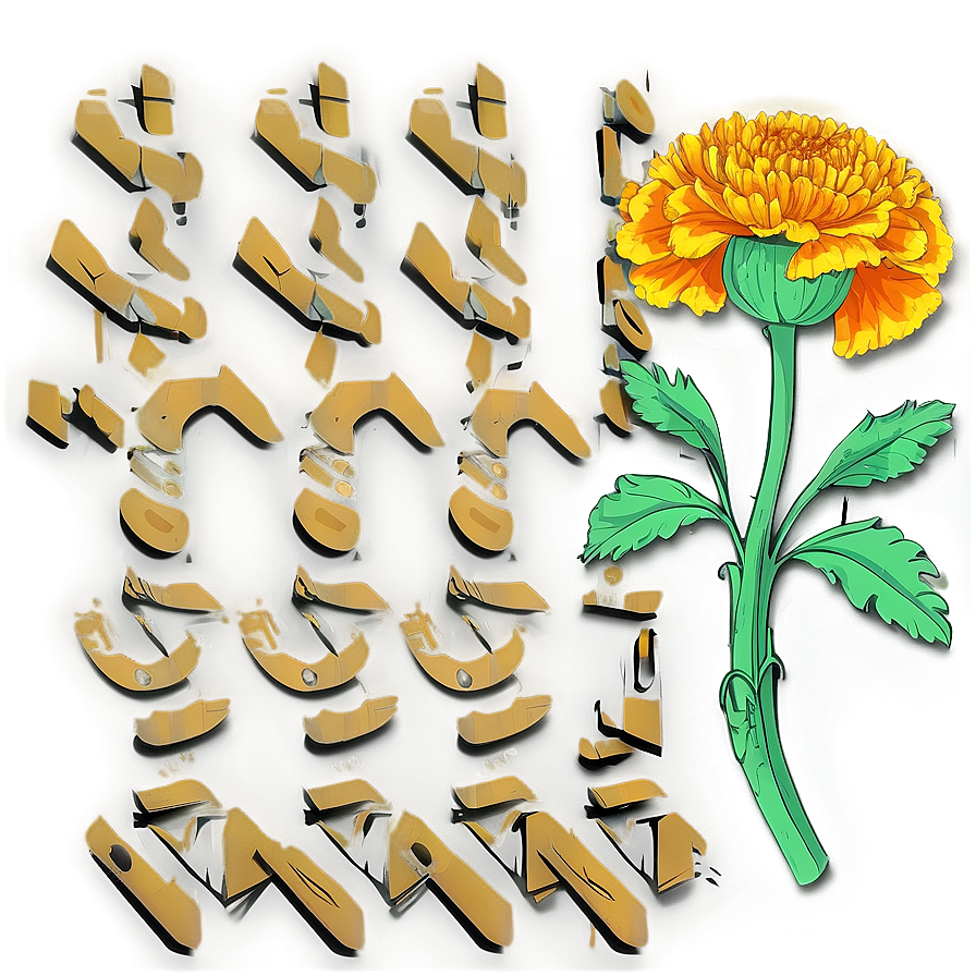 Hand Drawn Marigold Png 06112024