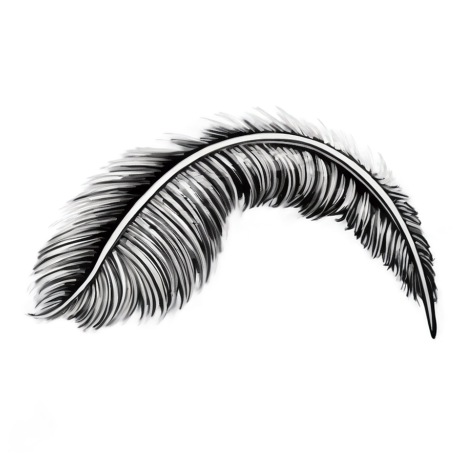 Hand-drawn Mono Feather Png Huf