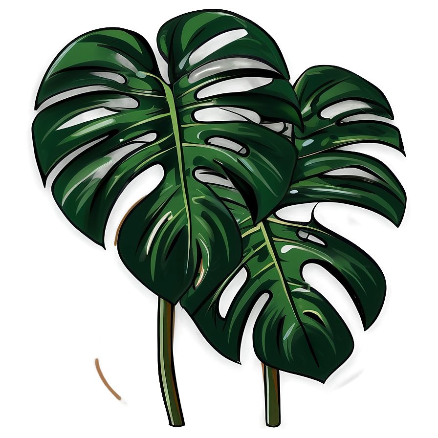 Hand Drawn Monstera Png 89