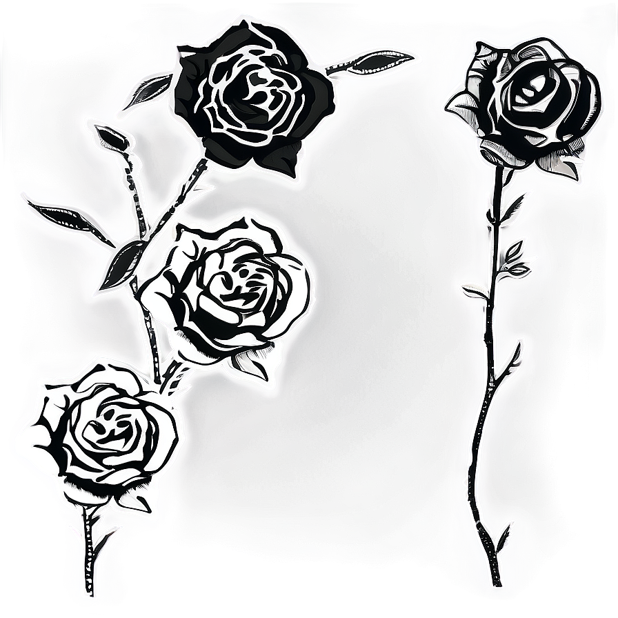 Hand-drawn Rose Black And White Png Qql