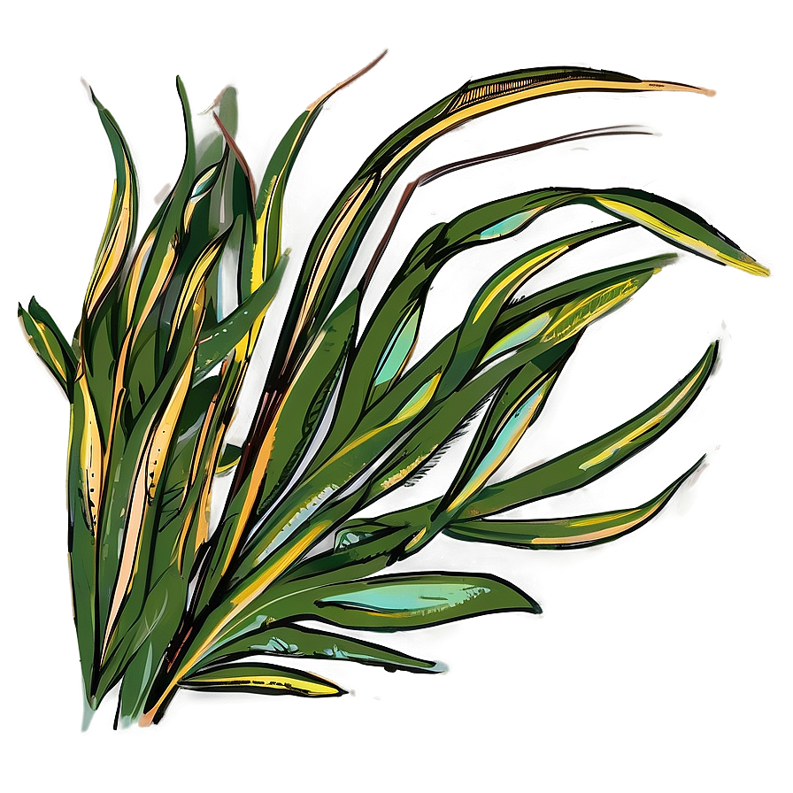 Hand Drawn Seagrass Png Ikq