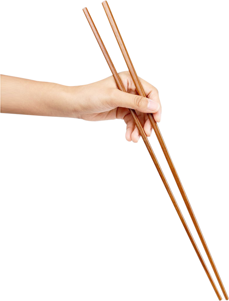 Hand Holding Chopsticks