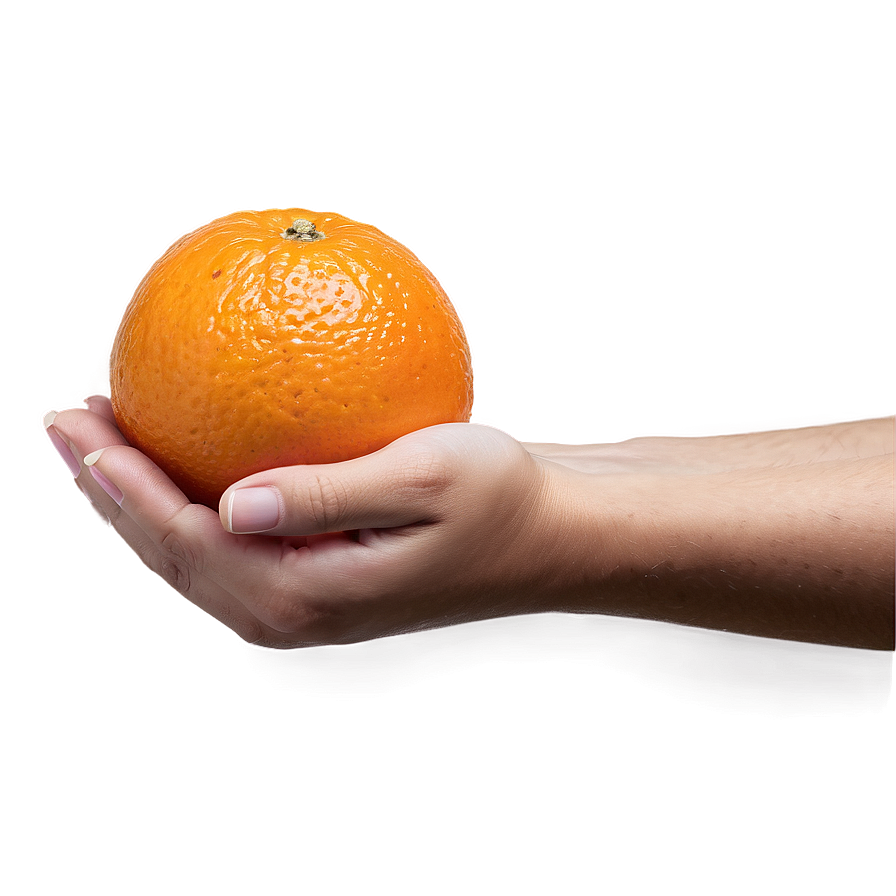 Hand Holding Orange Png 31