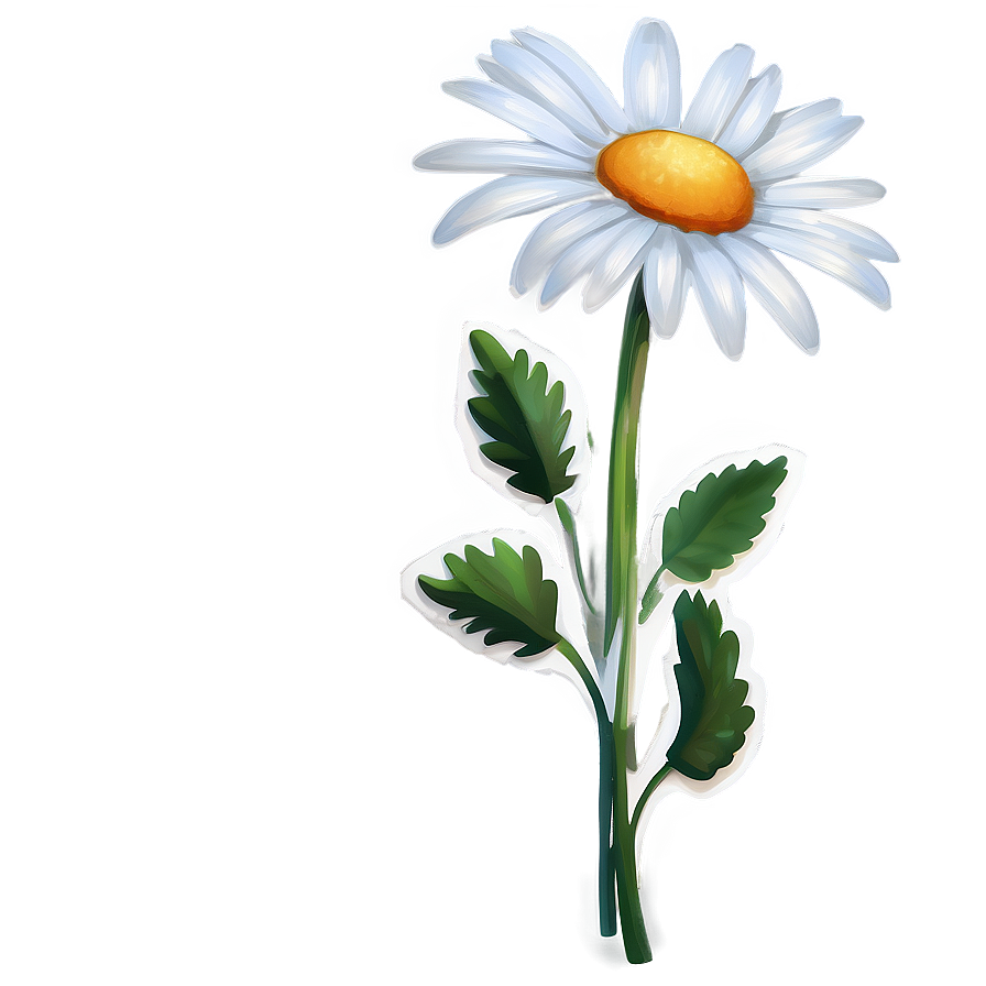 Hand Painted Daisies Png 06122024