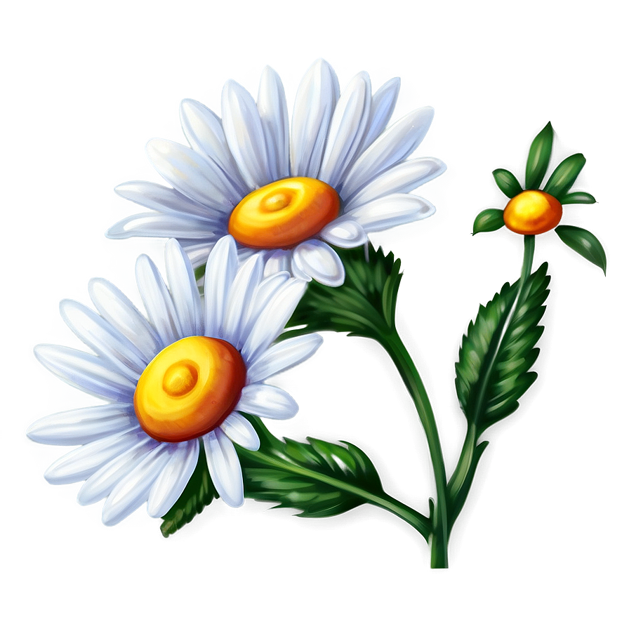 Hand Painted Daisies Png Nuh